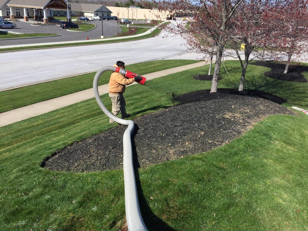 Landscaping in Willoughby, OH